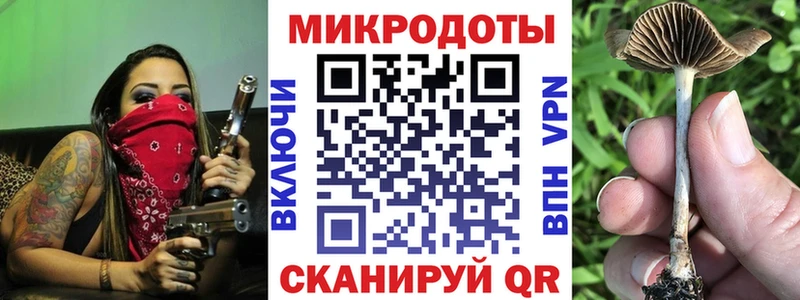 Галлюциногенные грибы Cubensis  Купить где  Пермь 